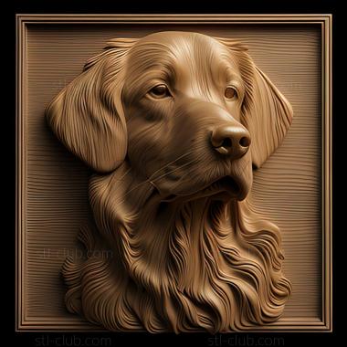 3D model st Straight   haired Retriever dog (STL)